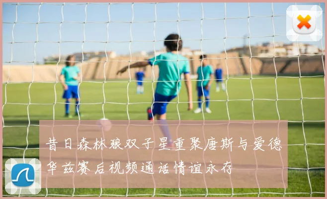 昔日森林狼双子星重聚唐斯与爱德华兹赛后视频通话情谊永存