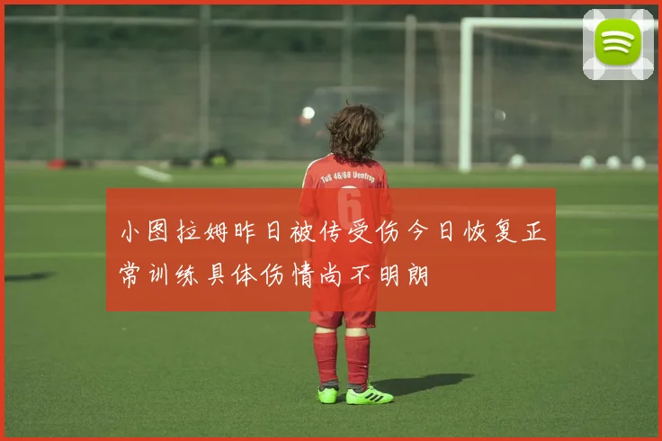 小图拉姆昨日被传受伤今日恢复正常训练具体伤情尚不明朗